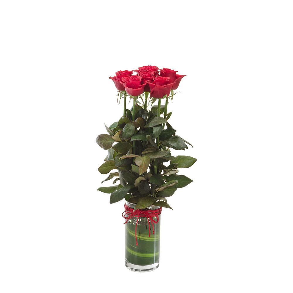 Adore Vase with 6 Roses - Perfect Gift | Rosebay Nursery