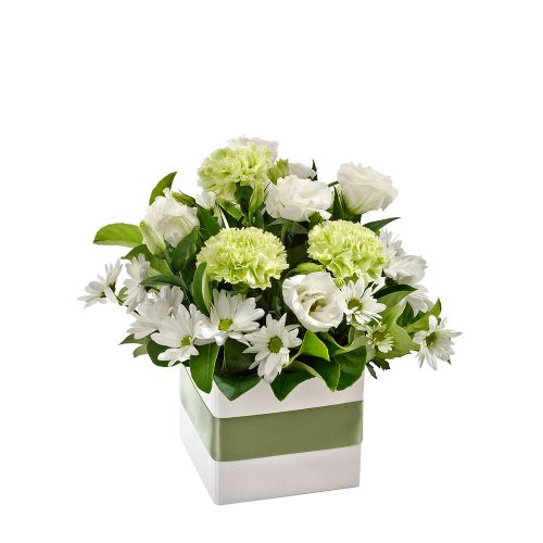 Avocado Petite Box Arrangement | Rosebay Florist & Nursery