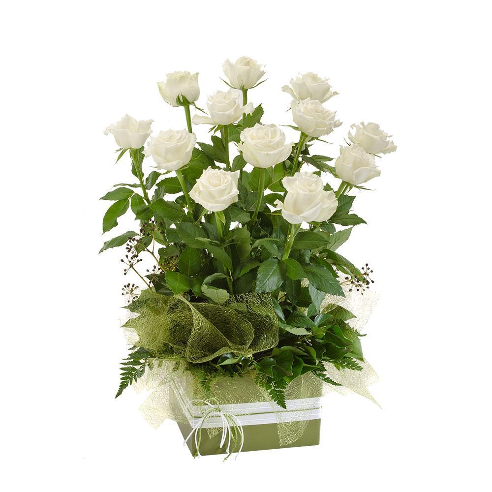 Now and Forever | Rosebay Florist & Nursery | Online Delivery