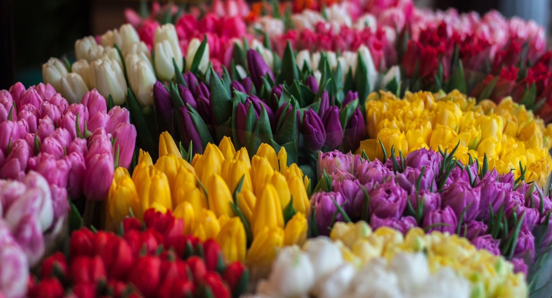 Cheerful Flowers Macquarie Park Florist Online Delivery