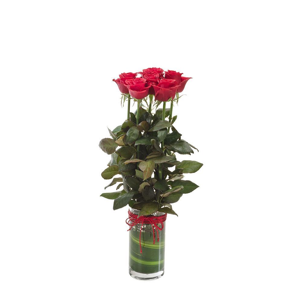 Adore Vase with 6 Roses - Perfect Gift  | Rosebay Nursery