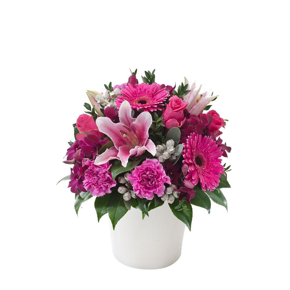 Berry Delight | Rosebay Florist & Nursery | Online Flower Delivery