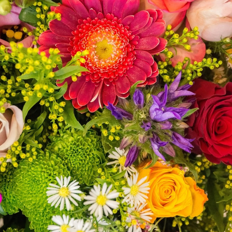 Florist Choice: Bright Bouquet - Send Flowers | Cheerful Flowers