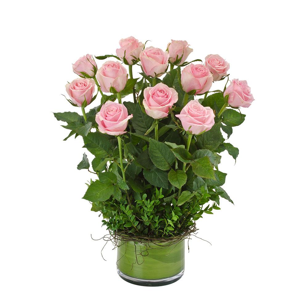 Desire | Rosebay Florist & Nursery | Online Flower Delivery