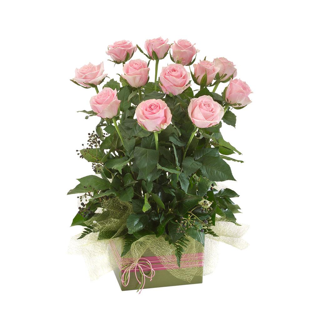 Desire Deluxe | Rosebay Florist & Nursery | Send Flowers