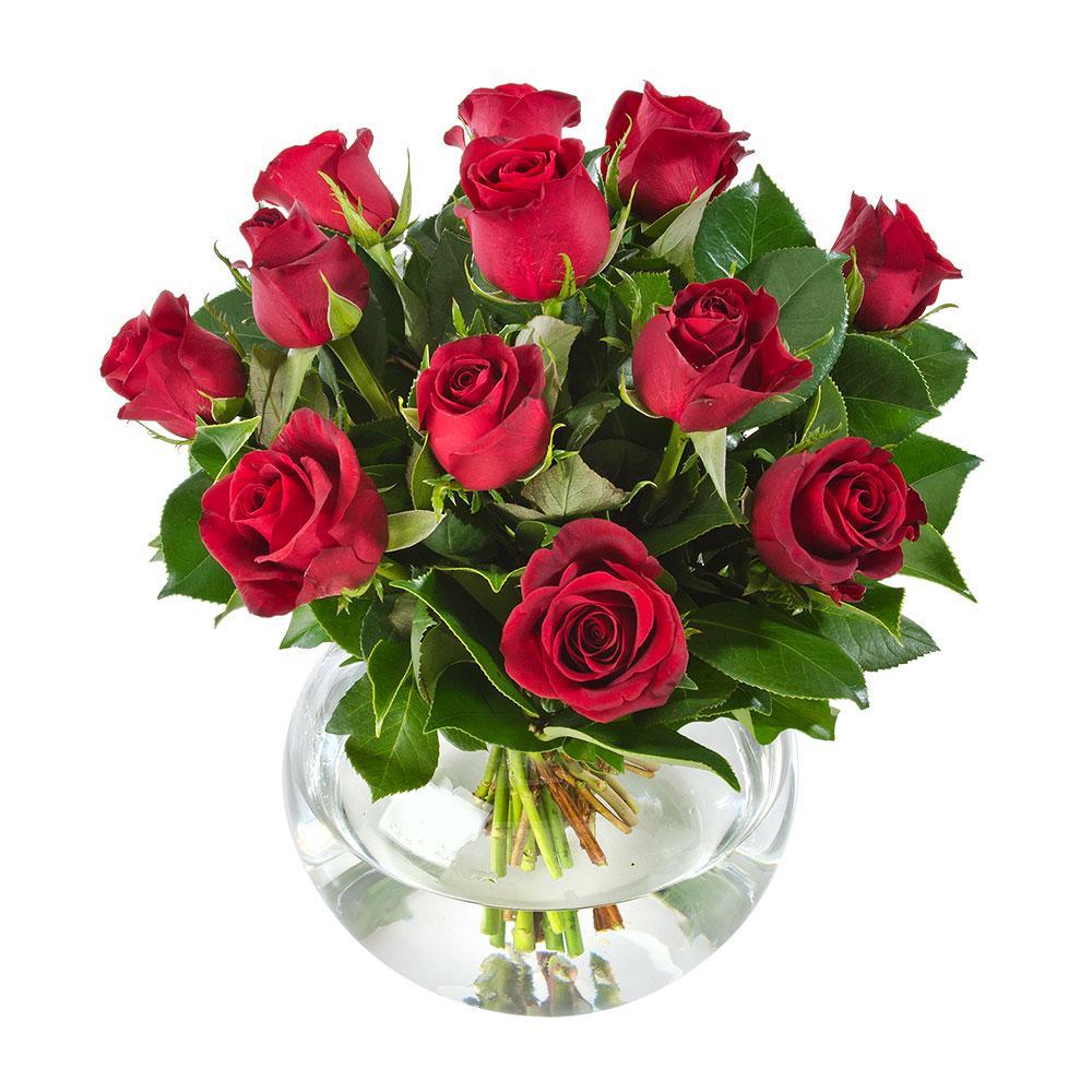 Eternal Love | 12 Red Roses in Glass Fishbowl - Romantic Floral Arrangement