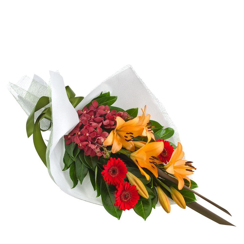 Flamenco | Rosebay Florist & Nursery | Online Flower Delivery