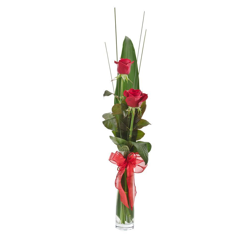 Flirt | Rosebay Florist & Nursery | Online Flower Delivery