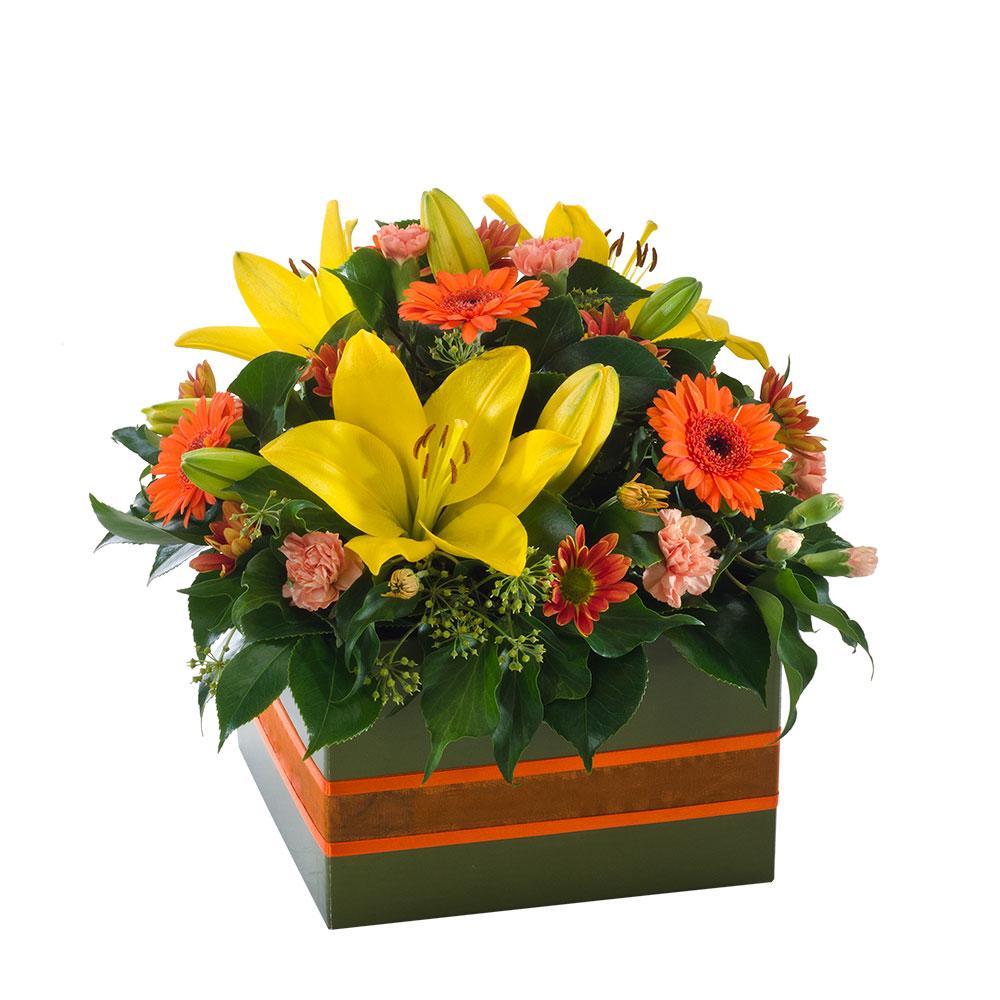 Dazzling | Rosebay Florist & Nursery | Send Flowers
