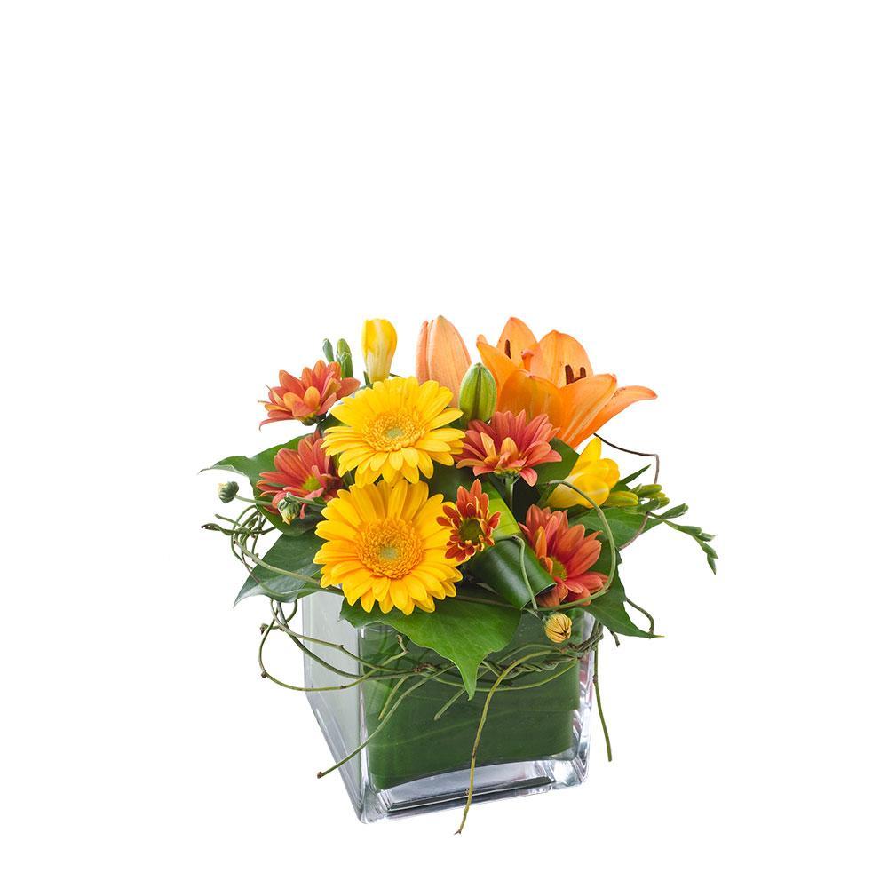 Ginger | Rosebay Florist & Nursery | Send Flowers - Cheerful Flowers