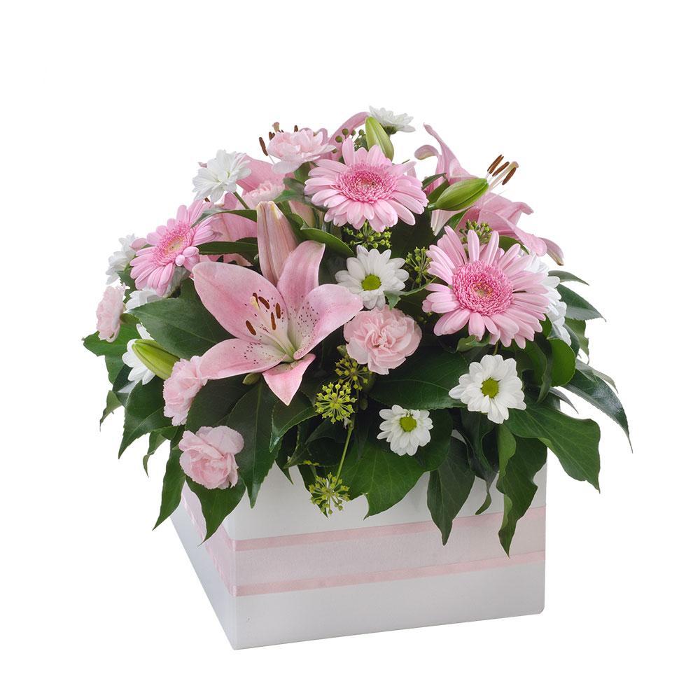 Softness | Rosebay Florist & Nursery | Send Flowers