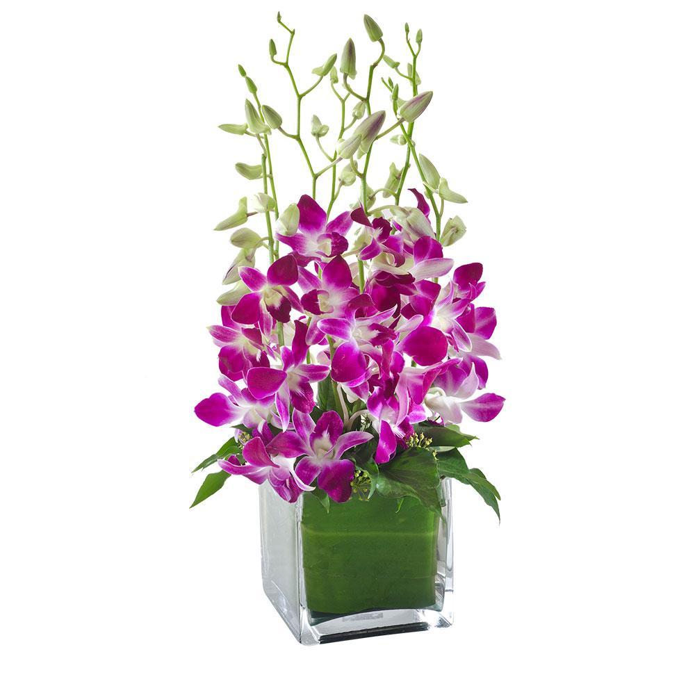 Violetta | Rosebay Florist & Nursery | Online Flower Delivery