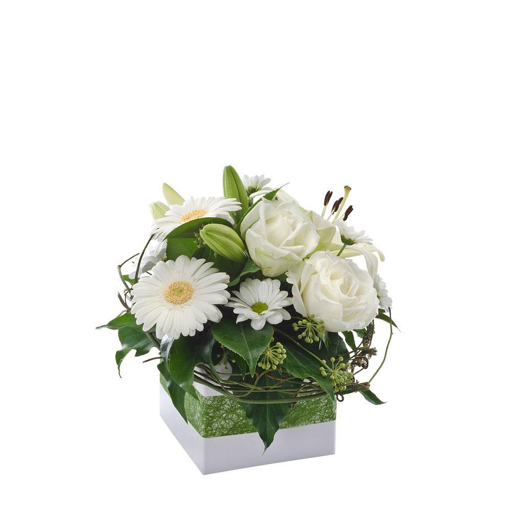 Hope | Rosebay Florist & Nursery | Online Flower Delivery