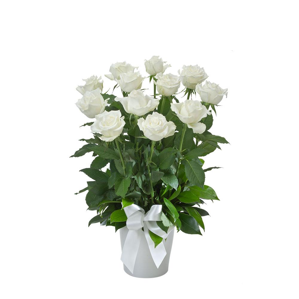 Impulse | Rosebay Florist & Nursery | Online Flower Delivery