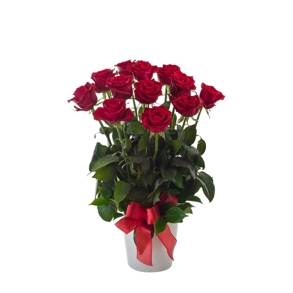 Impulse | Rosebay Florist & Nursery | Online Flower Delivery