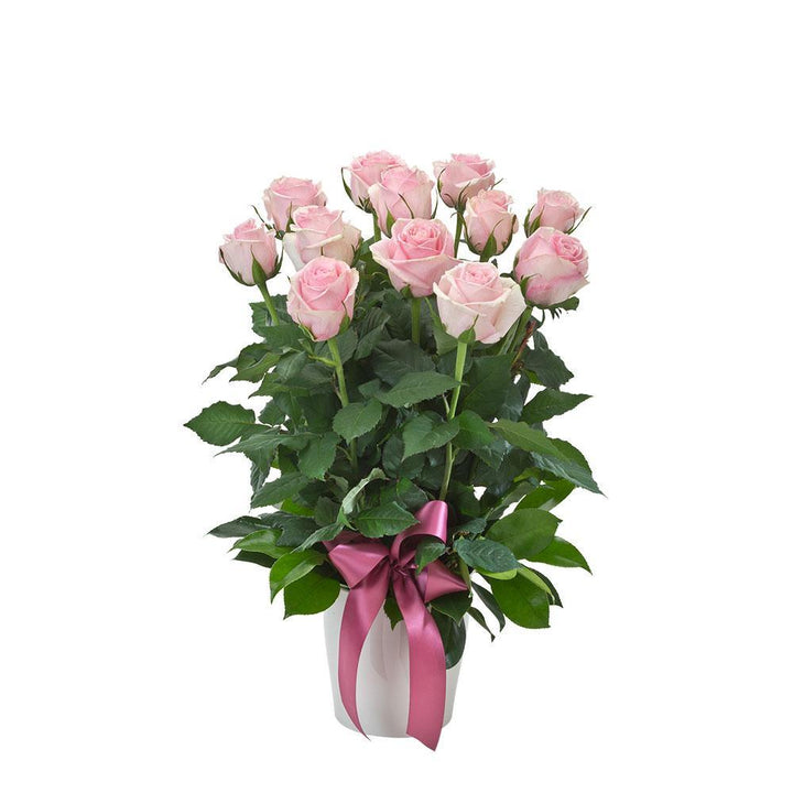 Impulse | Arrangement of 12 Pink Roses in a Ceramic Pot