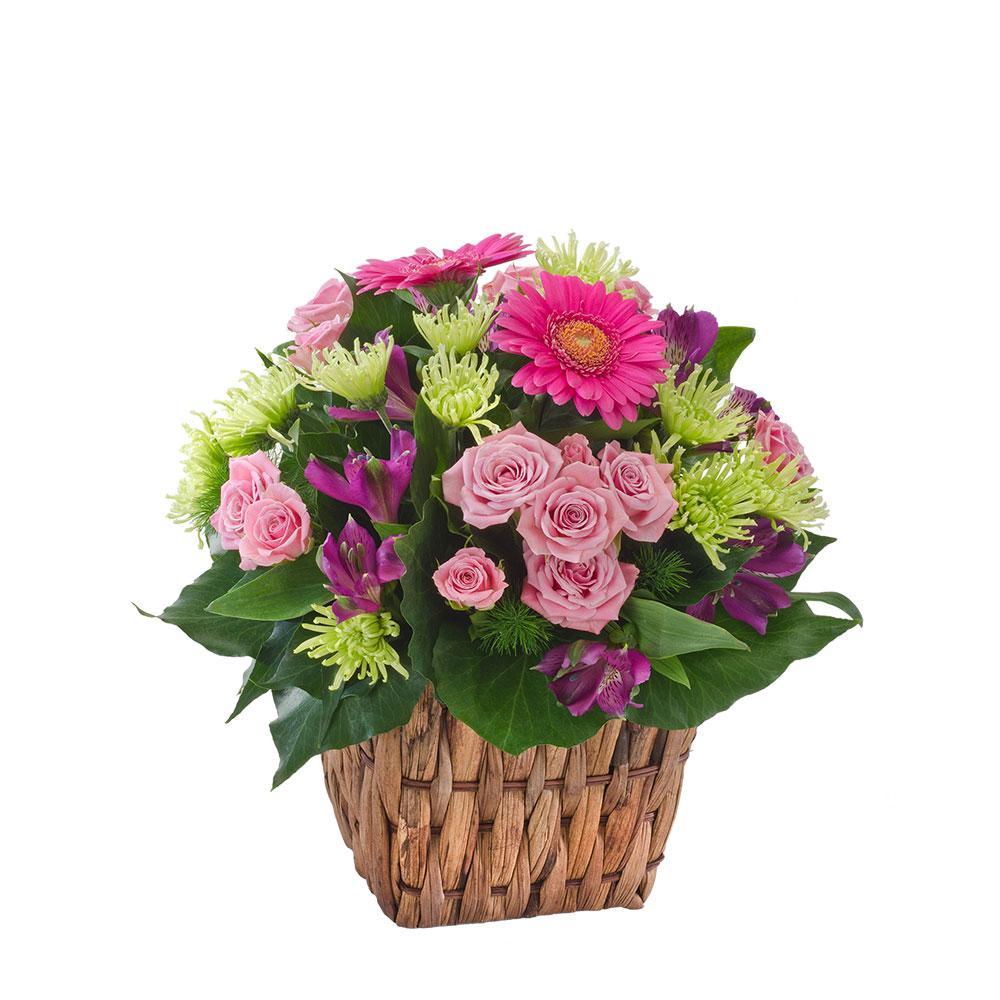 Jazz | Rosebay Florist & Nursery | Online Flower Delivery