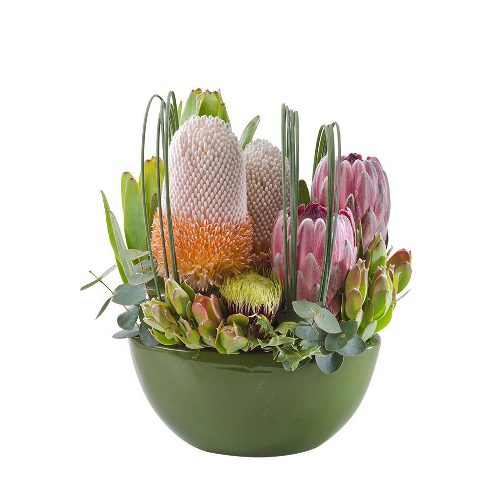 Kirra | Rosebay Florist & Nursery | Online Flower Delivery