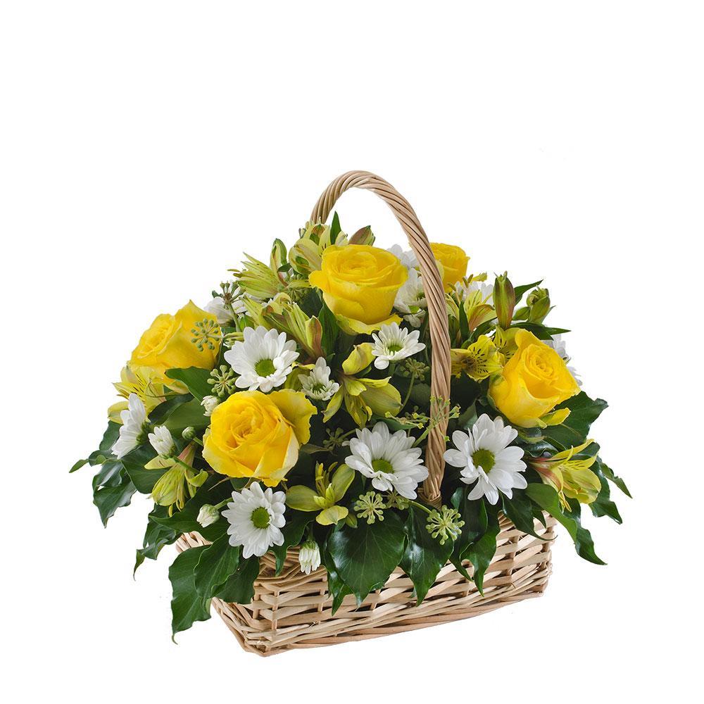 Lemon 'N Lime | Rosebay Florist & Nursery | Online Flower Delivery