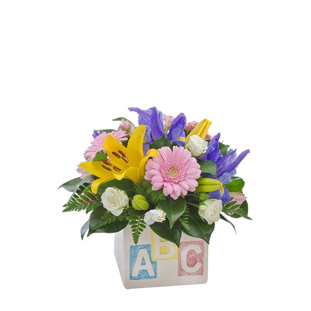 My First ABC | Rosebay Florist & Nursery | Online Flower Delivery