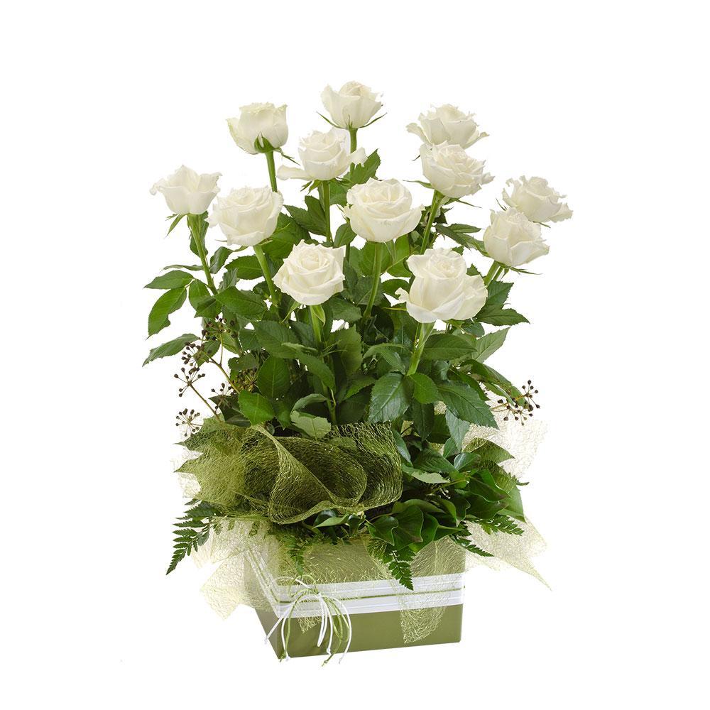 Now and Forever | Rosebay Florist & Nursery | Online Delivery 