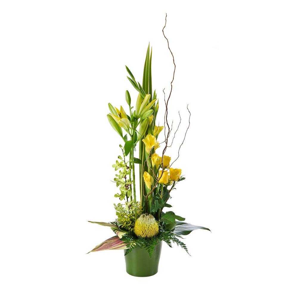 Radiance | Rosebay Florist & Nursery | Online Flower Delivery