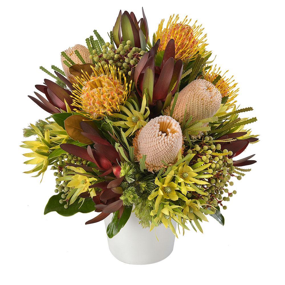 Salamanca | Rosebay Florist & Nursery | Online Flower Delivery