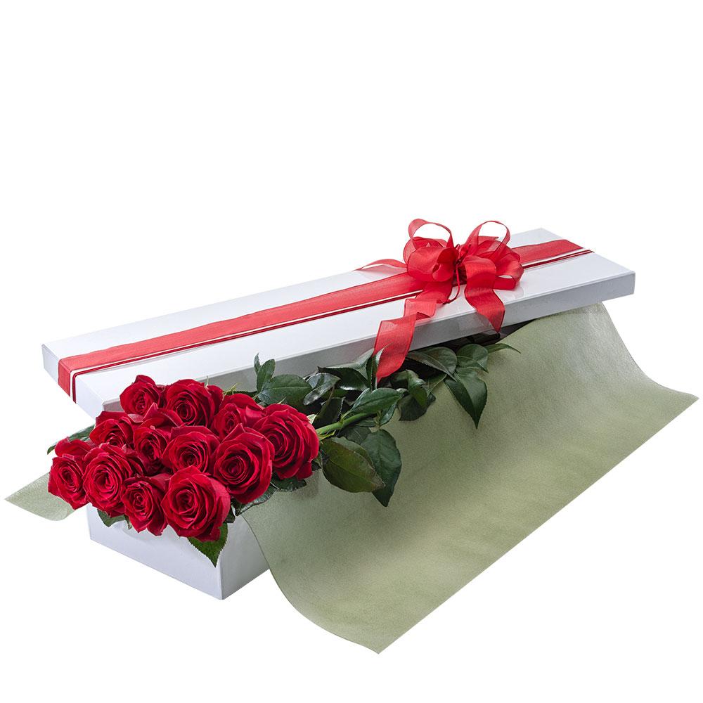 Seduction | Rosebay Florist & Nursery | Send Flowers