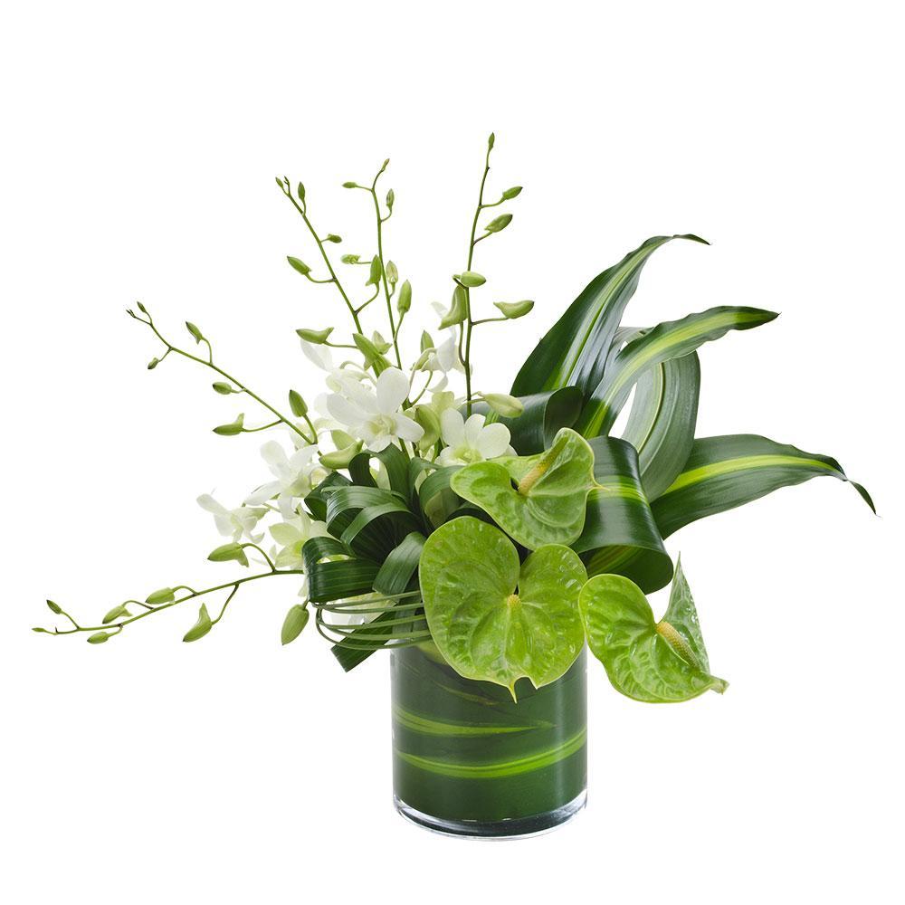 Serene | Rosebay Florist & Nursery | Online Flower Delivery