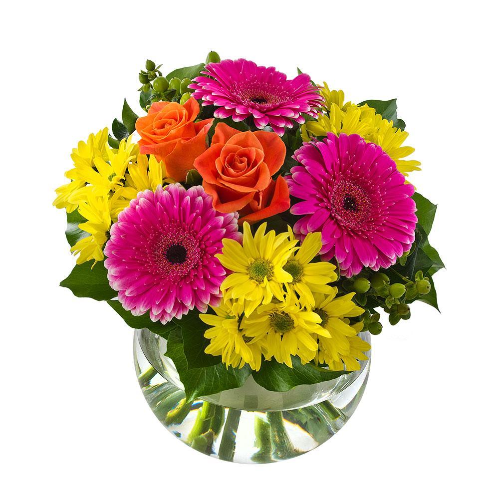 Splice | Rosebay Florist & Nursery | Send Flowers