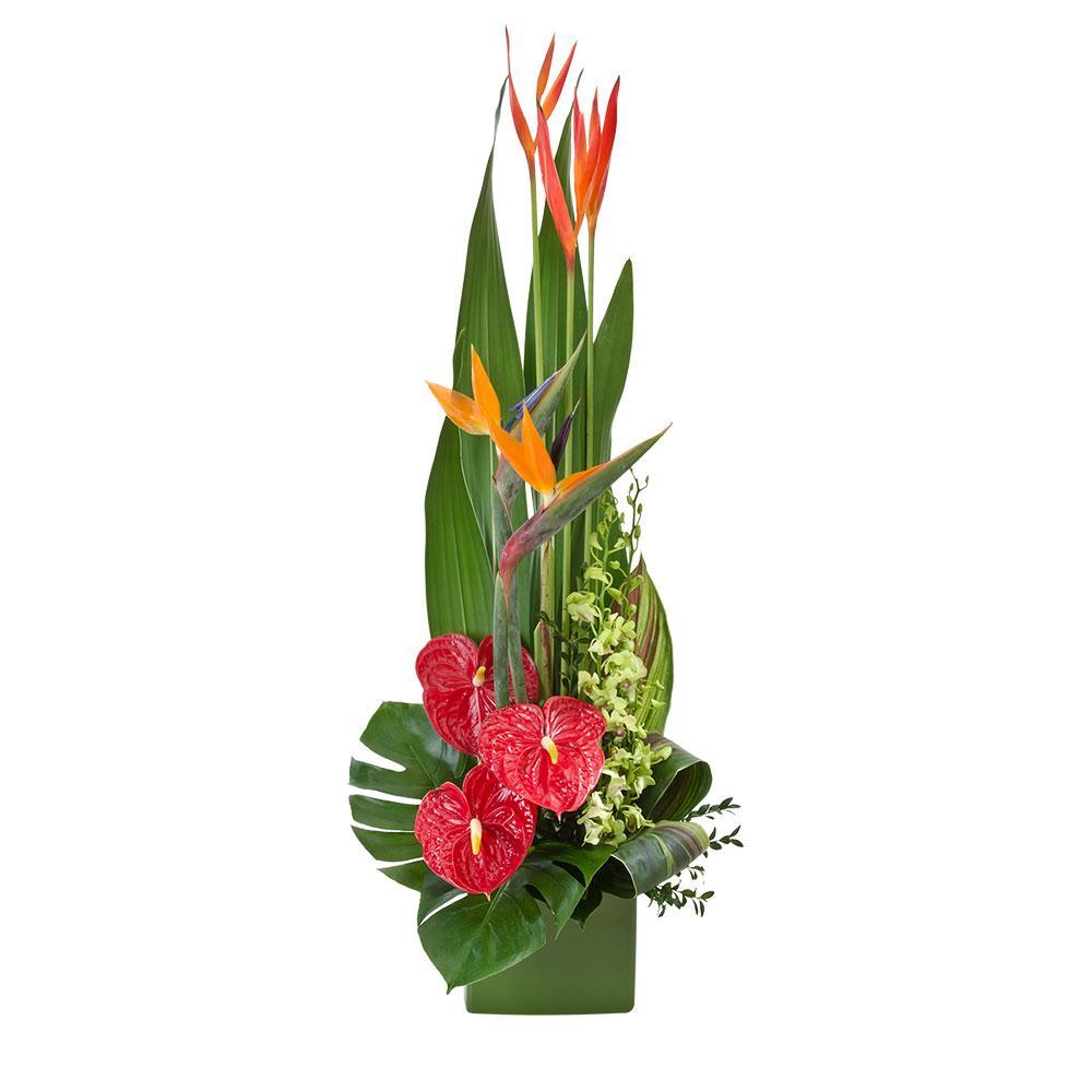 Tropicana | Rosebay Florist & Nursery | Send Flowers