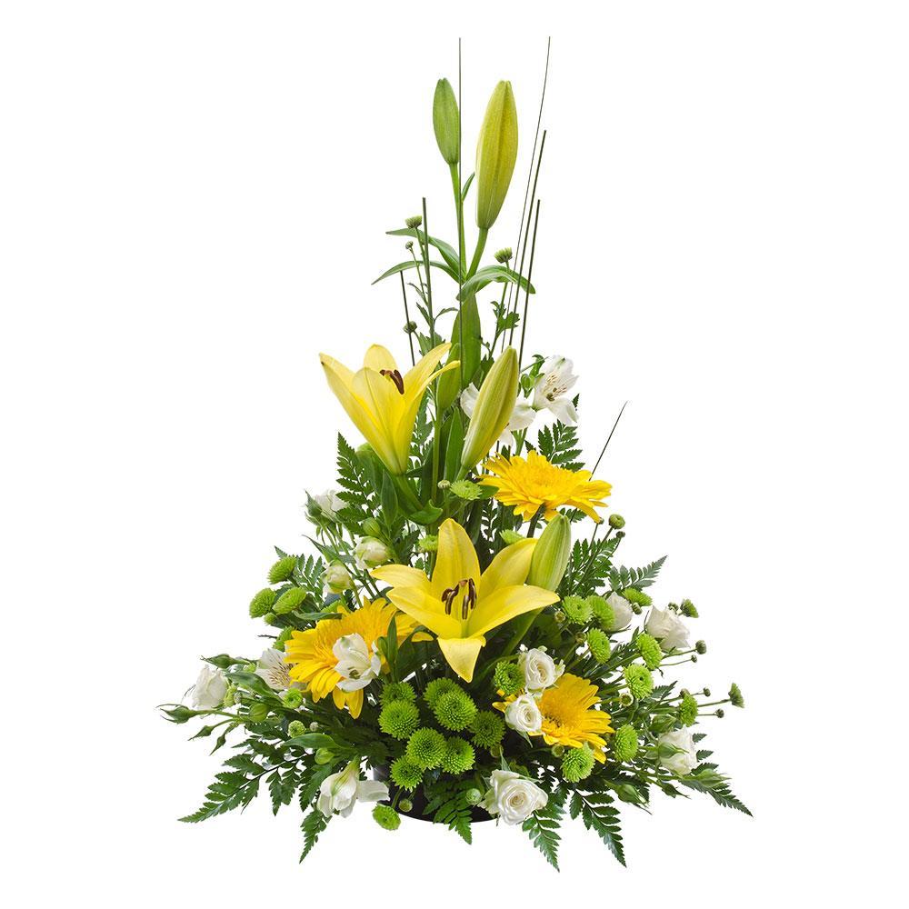 Unforgettable | Rosebay Florist & Nursery | Send Flowers