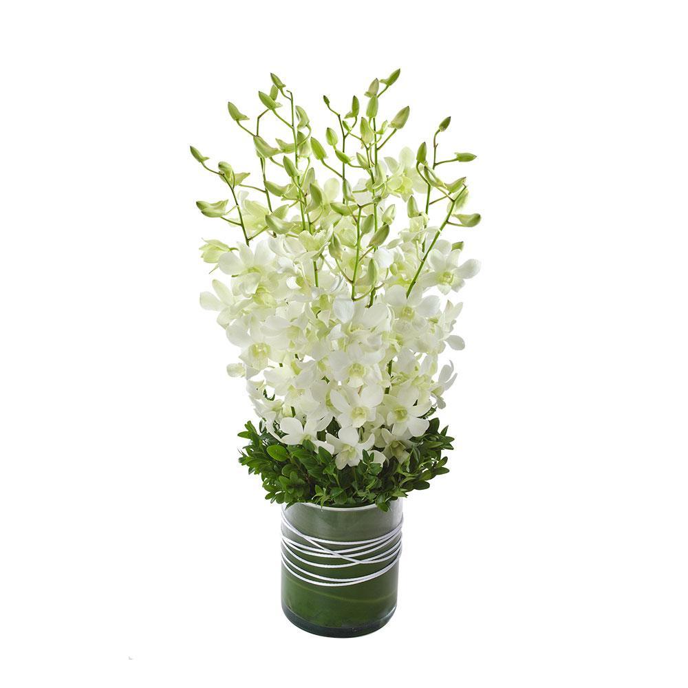 Virtue | Rosebay Florist & Nursery | Send Flowers Gift